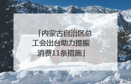 内蒙古自治区总工会出台助力提振消费11条措施