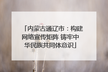 内蒙古通辽市：构建网络宣传矩阵 铸牢中华民族共同体意识