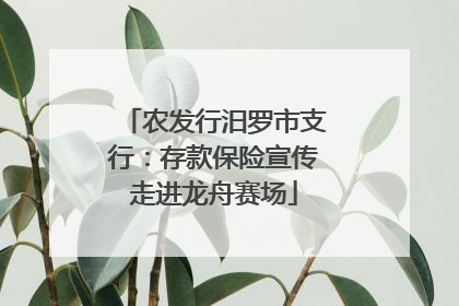 农发行汨罗市支行：存款保险宣传走进龙舟赛场