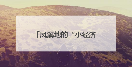 凤溪地的“小经济”与“大情怀”
