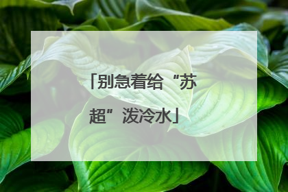 别急着给“苏超”泼冷水