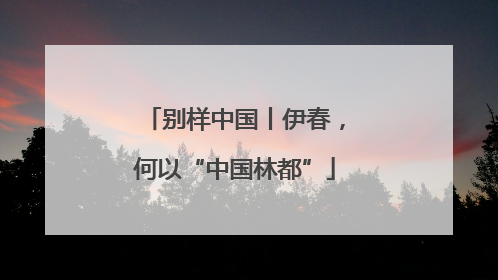 别样中国丨伊春，何以“中国林都”