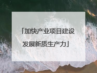 加快产业项目建设 发展新质生产力