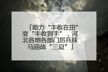 助力“丰收在田”变“丰收到手”，河北各地各部门厉兵秣马迎战“三夏”
