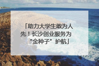 助力大学生敢为人先！长沙创业服务为“金种子”护航