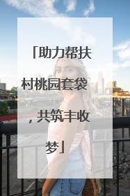 助力帮扶村桃园套袋，共筑丰收梦