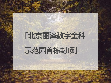 北京丽泽数字金科示范园首栋封顶