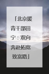 北京援青干部田宁：双向奔赴拓宽致富路
