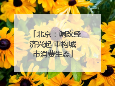 北京：调改经济兴起 重构城市消费生态