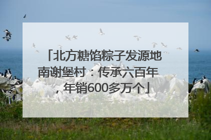 北方糖馅粽子发源地南谢堡村：传承六百年，年销600多万个