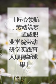 匠心领航，劳动筑梦——武威职业学院劳动研学实践育人取得新成果
