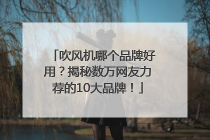吹风机哪个品牌好用？揭秘数万网友力荐的10大品牌！