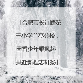 合肥市长江路第三小学兰亭分校：墨香少年乘风起 共赴新程志轩扬
