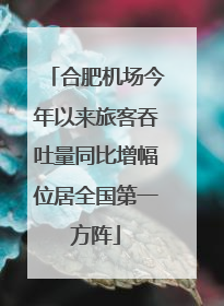 合肥机场今年以来旅客吞吐量同比增幅位居全国第一方阵