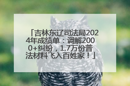 吉林东辽司法局2024年成绩单：调解2000+纠纷，1.7万份普法材料飞入百姓家！