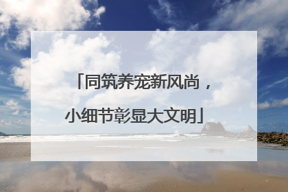 同筑养宠新风尚，小细节彰显大文明