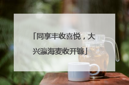 同享丰收喜悦，大兴瀛海麦收开镰