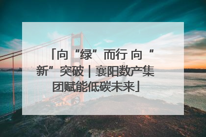 向“绿”而行 向“新”突破｜襄阳数产集团赋能低碳未来