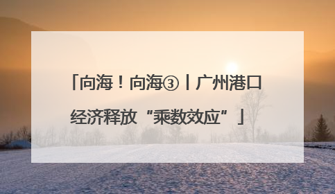 向海！向海③丨广州港口经济释放“乘数效应”