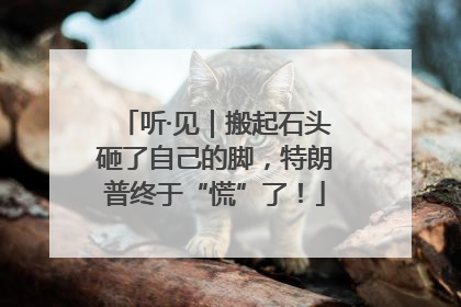 听·见｜搬起石头砸了自己的脚，特朗普终于“慌”了！