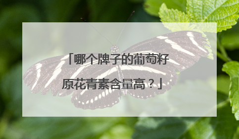 哪个牌子的葡萄籽原花青素含量高？
