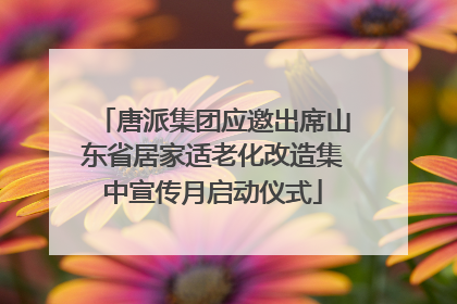 唐派集团应邀出席山东省居家适老化改造集中宣传月启动仪式