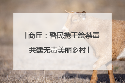 商丘：警民携手绘禁毒 共建无毒美丽乡村