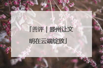 善评｜滕州让文明在云端绽放