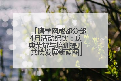 嗨学网成都分部4月活动纪实：庆典荣耀与培训提升共绘发展新蓝图