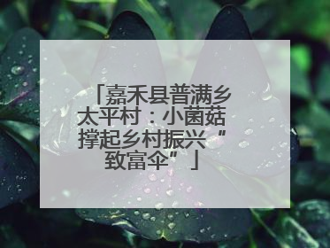 嘉禾县普满乡太平村：小菌菇撑起乡村振兴“致富伞”