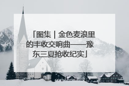 图集｜金色麦浪里的丰收交响曲——豫东三夏抢收纪实