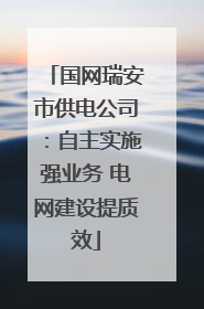 国网瑞安市供电公司：自主实施强业务 电网建设提质效