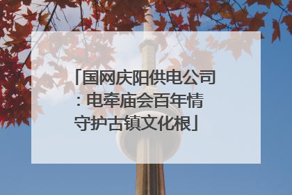 国网庆阳供电公司：电牵庙会百年情 守护古镇文化根