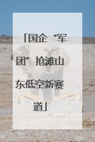 国企“军团”抢滩山东低空新赛道