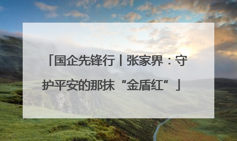 国企先锋行丨张家界：守护平安的那抹“金盾红”