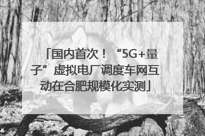 国内首次！“5G+量子”虚拟电厂调度车网互动在合肥规模化实测