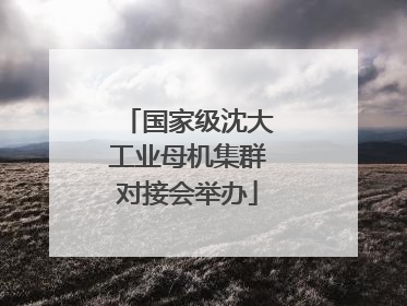 国家级沈大工业母机集群对接会举办