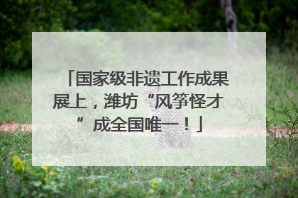 国家级非遗工作成果展上，潍坊“风筝怪才”成全国唯一！