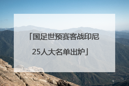 国足世预赛客战印尼25人大名单出炉