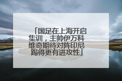 国足在上海开启集训，主帅伊万科维奇期待对阵印尼踢得更有进攻性