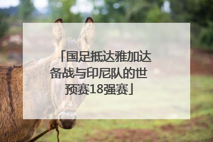 国足抵达雅加达备战与印尼队的世预赛18强赛