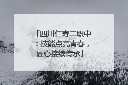 四川仁寿二职中：技能点亮青春，匠心接续传承