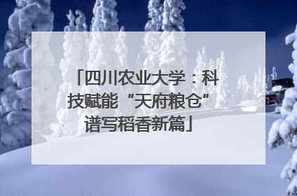 四川农业大学：科技赋能“天府粮仓”谱写稻香新篇