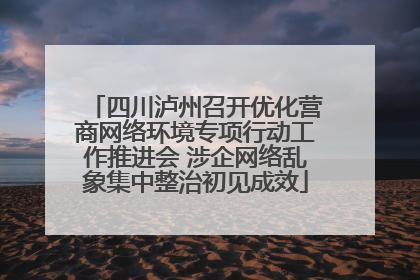 四川泸州召开优化营商网络环境专项行动工作推进会 涉企网络乱象集中整治初见成效