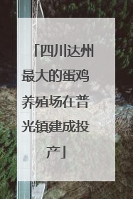 四川达州最大的蛋鸡养殖场在普光镇建成投产