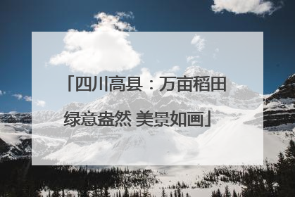 四川高县：万亩稻田绿意盎然 美景如画