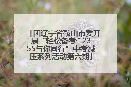 团辽宁省鞍山市委开展“轻松备考·12355与你同行”中考减压系列活动第六期