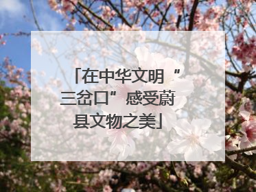 在中华文明“三岔口”感受蔚县文物之美