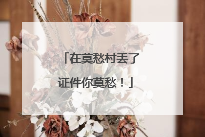在莫愁村丢了证件你莫愁！