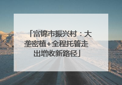 富锦市振兴村：大垄密植+全程托管走出增收新路径